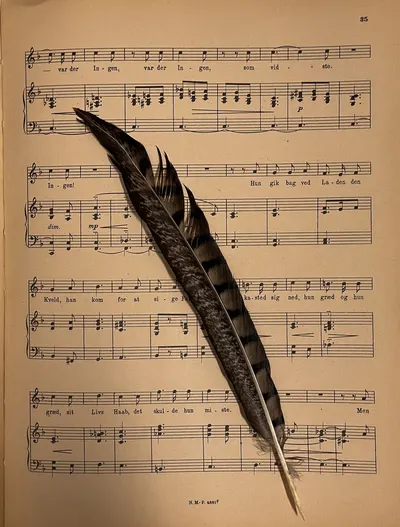 Close-up of a feather resting on vintage musical sheets, notes visible.