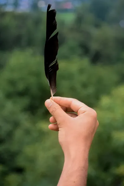 A person holding a single black feather outdoors with greenery in the background.
