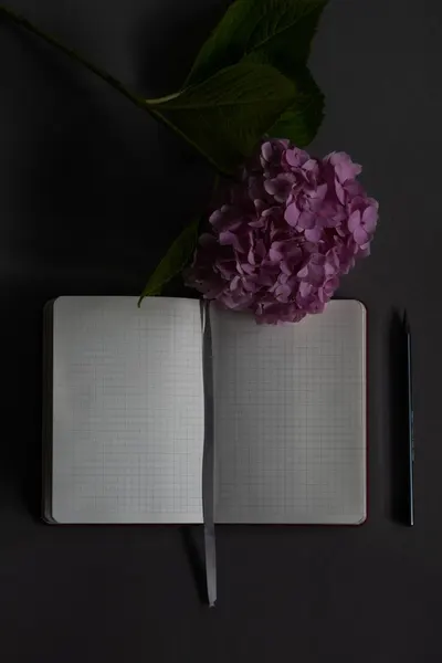 Minimalist flatlay featuring an open notebook, a purple flower, and a pen on a dark background.