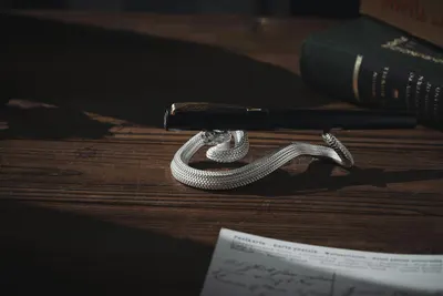 Silver snake pen holder elegantly displayed on a wooden desk with books in the background.