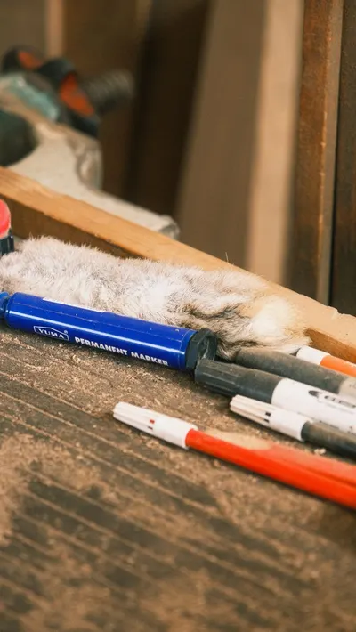 A variety of markers and paintbrush on a wooden workbench, in a carpentry setting.
