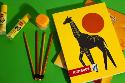 Vibrant school supplies including notebooks and pencils laid out on a green background.