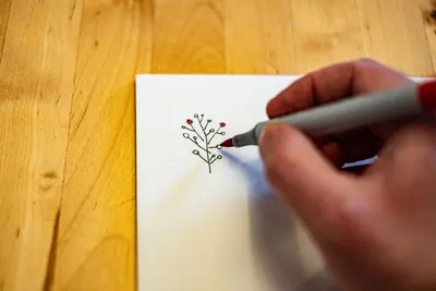 A hand drawing a simple plant with a red ink marker on white paper.