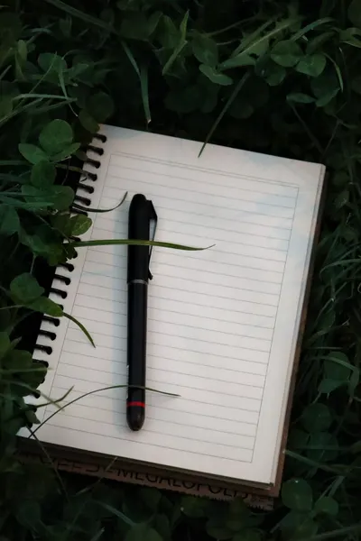 Open notebook with a pen on grass, perfect for writing ideas.
