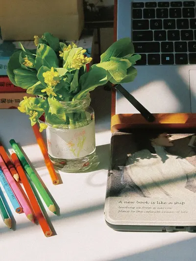 Bright workspace with a laptop, pencils, and flowers in sunlight.