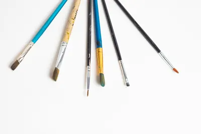 A collection of diverse paint brushes arranged on a plain white surface.