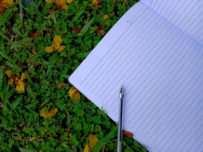 Open notebook and pen on clover-filled grass with yellow petals, ideal for creativity concepts.
