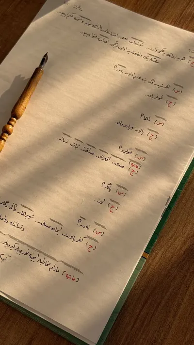 Sunlit Ottoman calligraphy manuscript with a traditional writing pen on a wooden table.