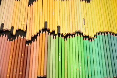 Artistic display of colored pencils arranged in a gradient of yellow to green.