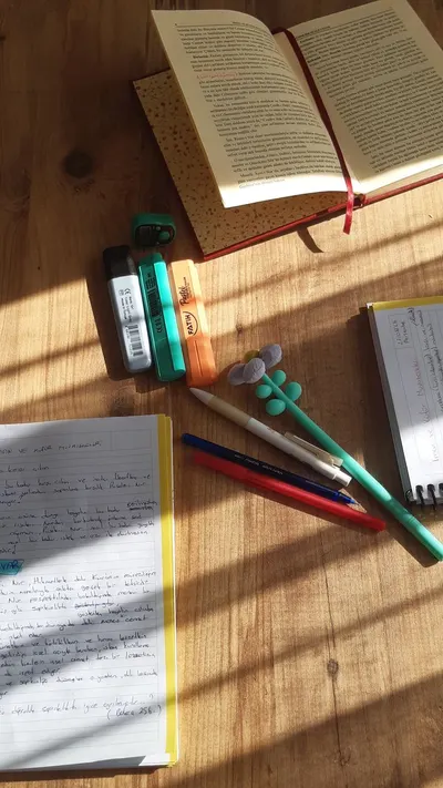 Sunlit study area with open books, pens, and highlighters on a wooden desk.