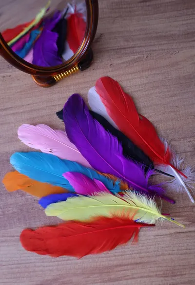 Vibrant collection of feathers with a mirror reflection on a wooden surface.
