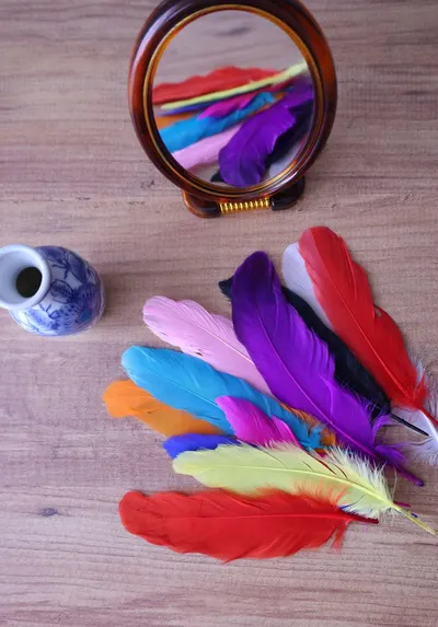 Vibrant feathers reflected in a mirror alongside a decorative vase on a wooden table.