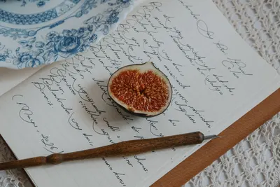 A still life featuring a ripe fig, elegant calligraphy on a notebook, and a vintage pen.