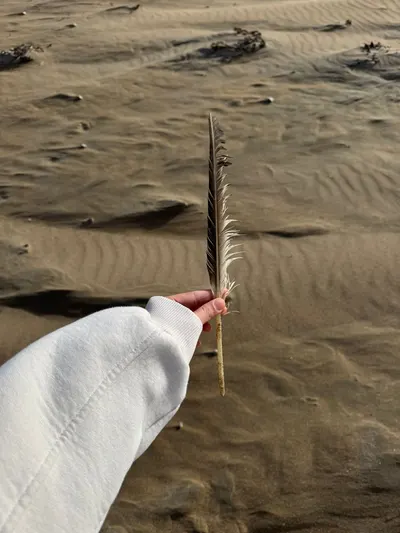A person in a white sleeve holds a feather on a rippled sandy beach in Ireland.