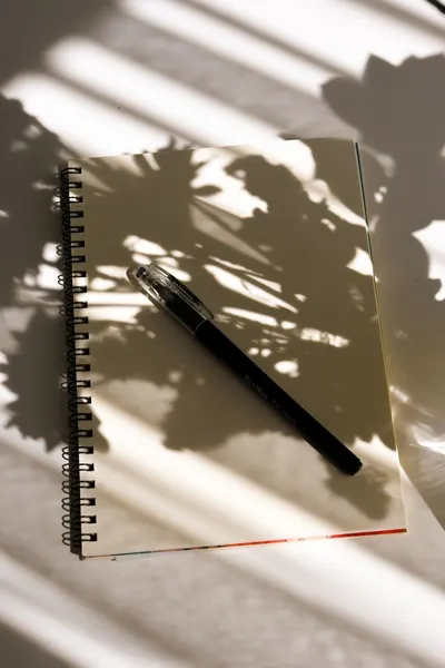 A spiral notebook with a pen, highlighted by artistic shadows, creating a moody aesthetic.