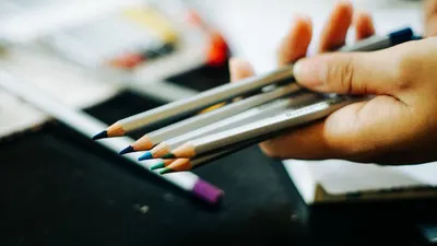 A person holds a selection of colored pencils, ready for artistic use.