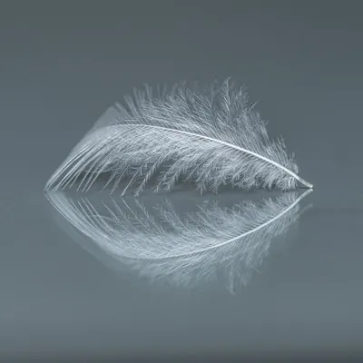 A delicate white feather with its reflection on a smooth, gray surface. Minimalist and serene.