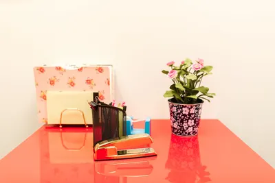 A colorful office desk arrangement featuring a red stapler and potted flowers.