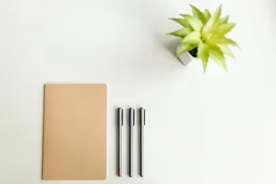 A clean and minimalist flat lay featuring a notebook, pens, and a potted plant on a white surface.