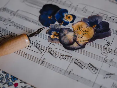 Closeup of dry navy blue and yellow pansy flowers on music sheet and fountain pen for drawing