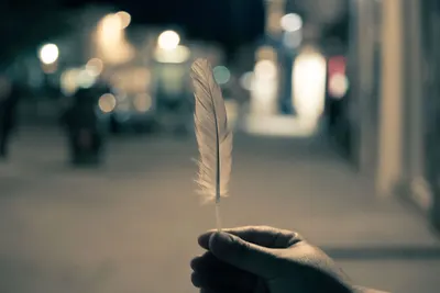 A hand holding a white feather amidst city lights in the evening.