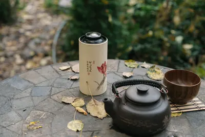 Traditional Japanese tea set on a stone table with fallen leaves in a serene outdoor garden setting.